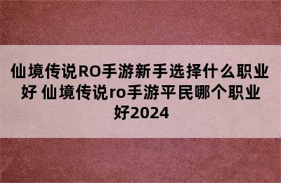 仙境传说RO手游新手选择什么职业好 仙境传说ro手游平民哪个职业好2024